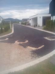 IMG_20170727_101052 (2)